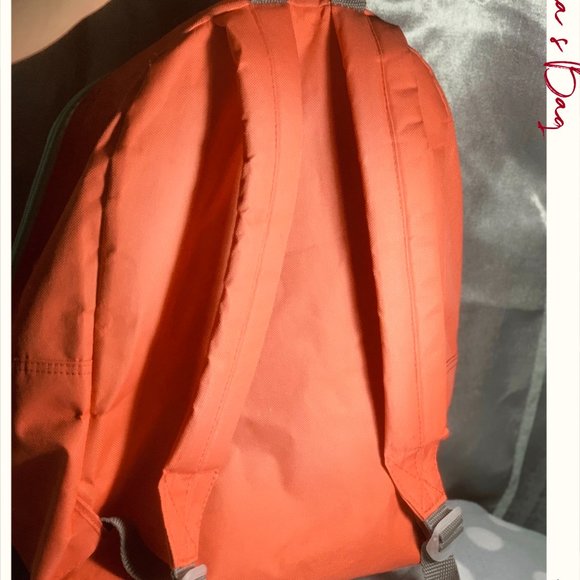 Salmon BackPack - Picture 2 of 2